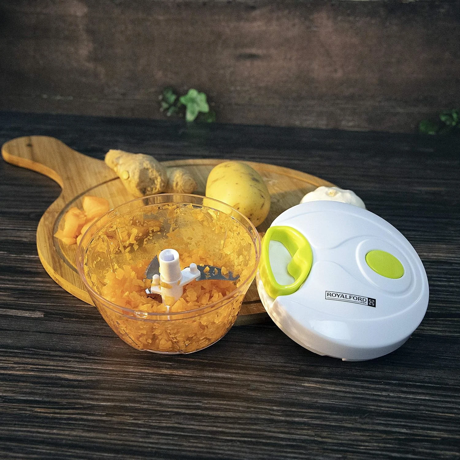 vegetable chopper blender 2