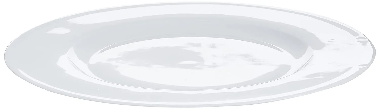 white porcelain dinner plates 2
